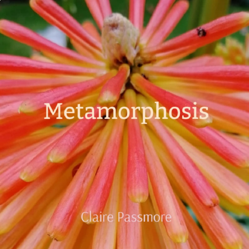 Video presentation of the art quilt 'Metamorphosis' by Claire Passmore
